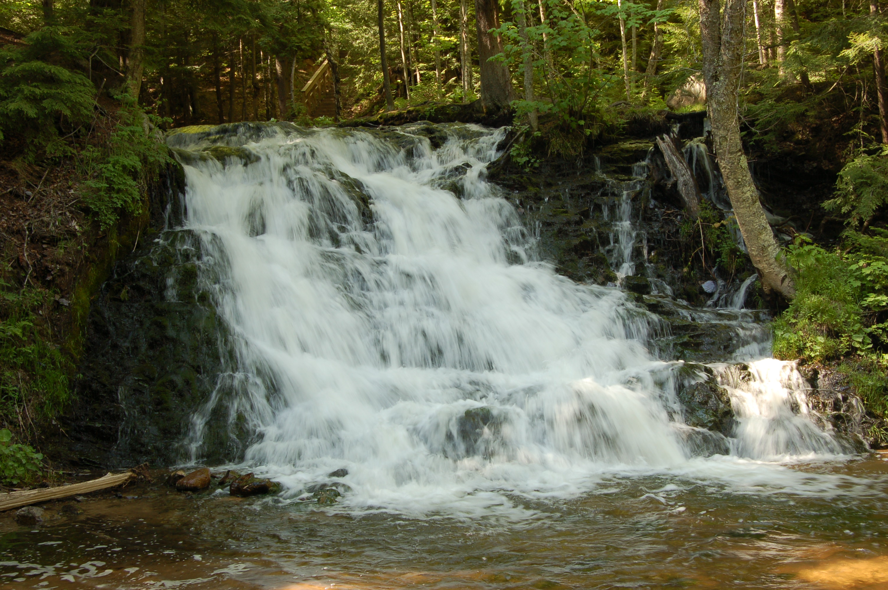 Unnamed Morgan Creek Falls