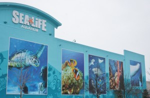 Outside View From Parking Lot of Michigan Sea Life Aquarium