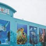 Outside of Michigan Sea Life Aquarium