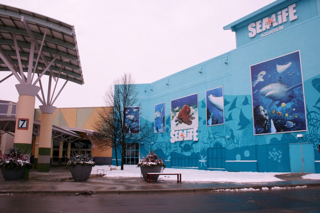 Sea Life Aquarium in Great Lakes Crossing Mall, Entrance 7 by Rainforest Cafe