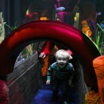 Children Will Love Viewing Tunnels Like this One