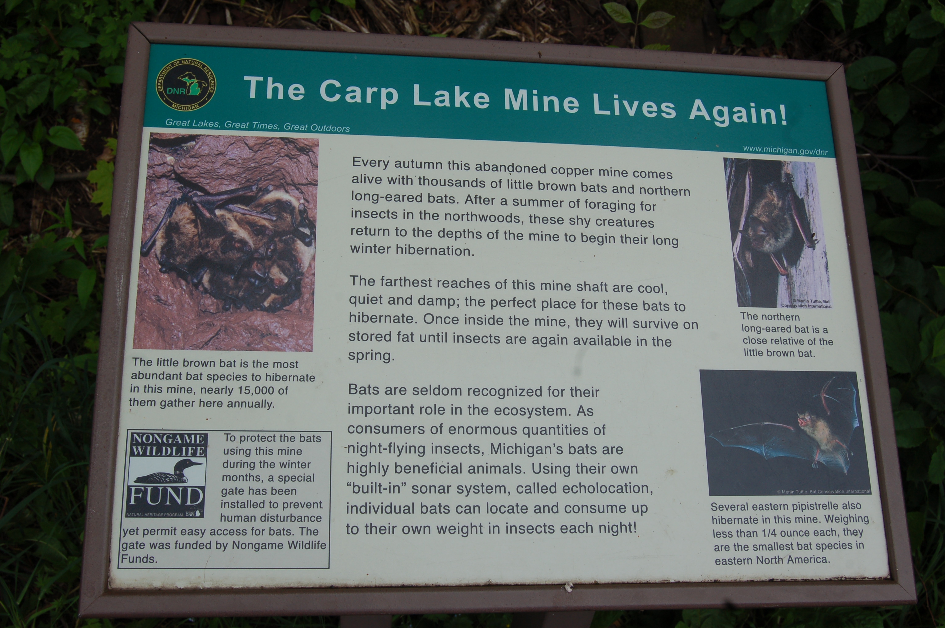 Information Sign for Carp Lake Mine