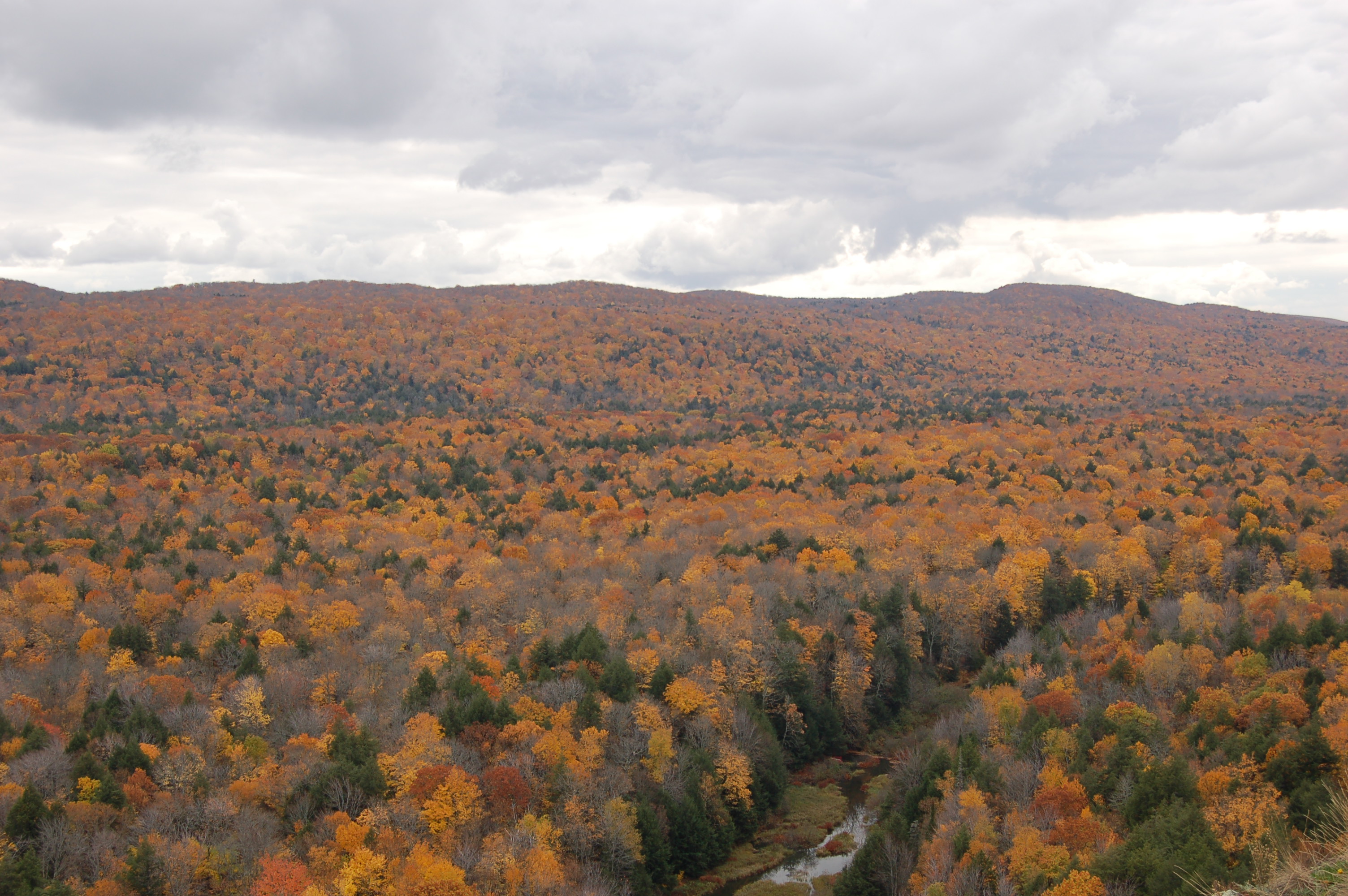 Fall Color from Lake of the Clouds overlook