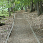 Ludington State Park Hiking Trails