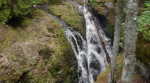 Manganese Gorge Falls, Keweenaw County - Waterfalls of the Western Upper Peninsula