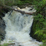 Upper Carp River Falls