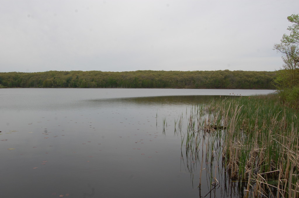 Pickerel Lake Fred Meijer Preserve