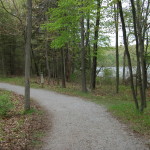 Pickerel Lake Kent County Hiking Path