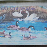 Sign Pickerel Lake Birds