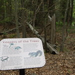 Woodland Sign Mammals Trees Pickerel Lake