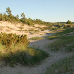 Beach Dunes Petoskey State Park