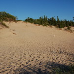 Petoskey State Park Dunes
