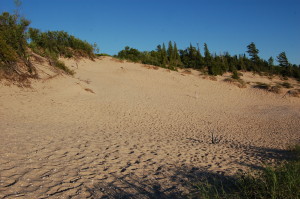 Petoskey State Park Dunes