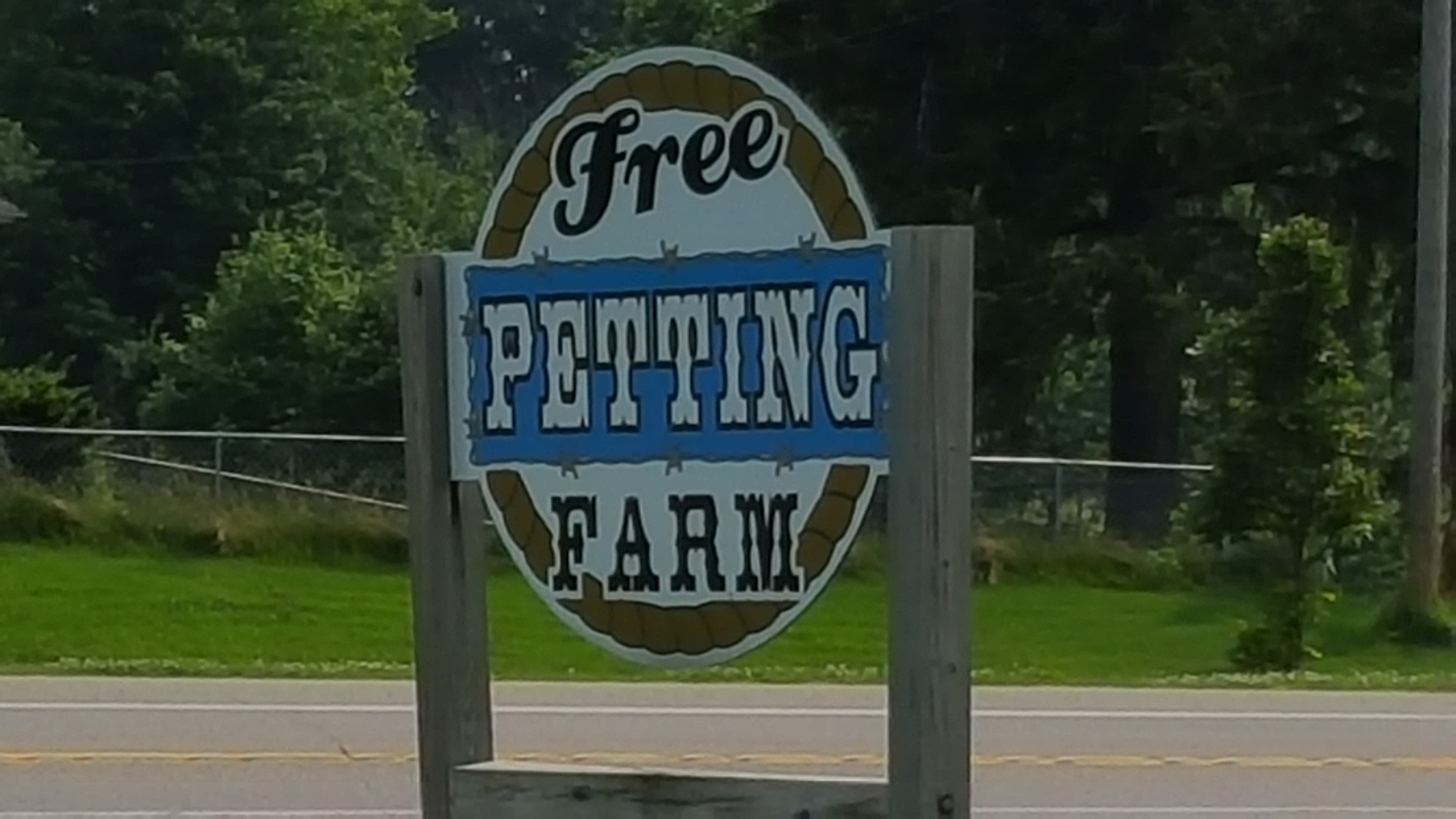 Free Petting Zoo and Delicious Ice Cream Will Have You Coming Back to