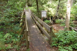 Haymeadow Falls Hiking Trail
