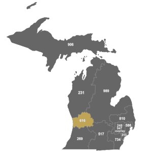 Michigan Area Codes