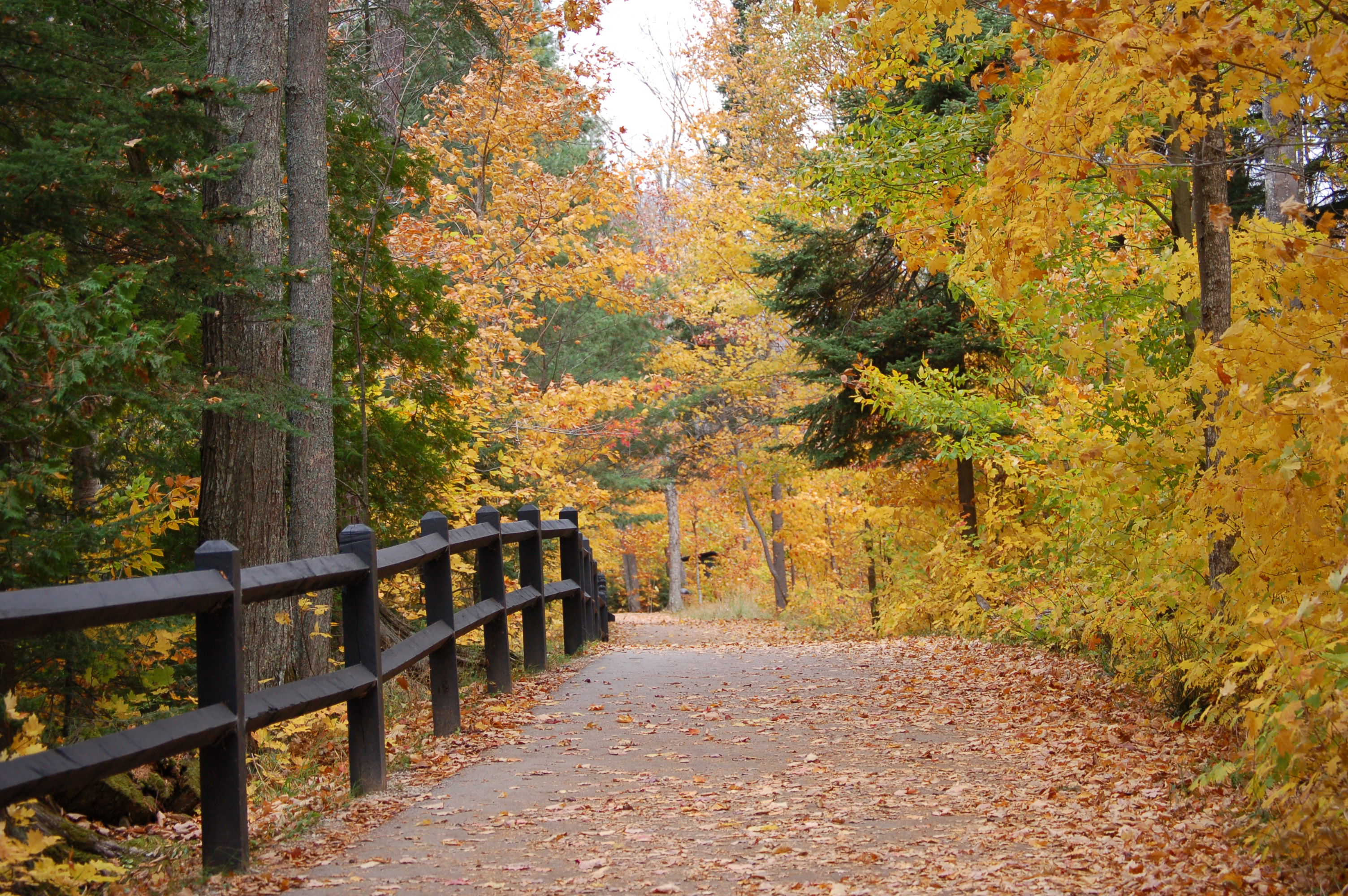 Best of the Eastern Upper Peninsula: 25 Great Michigan Fall Color Spots