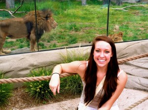 Lions at Detroit Zoo