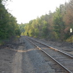 Van Riper State Park Railroad Tracks