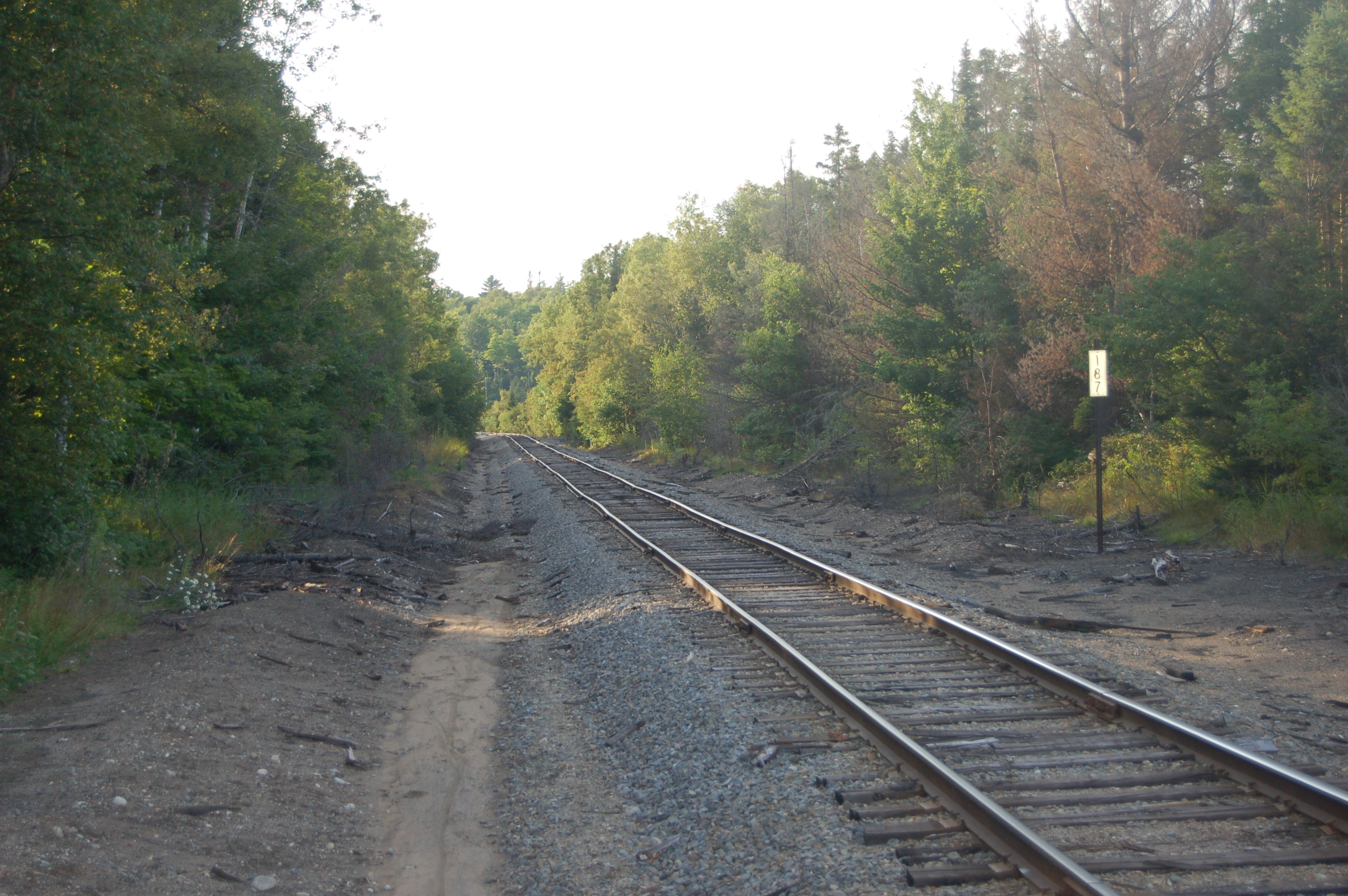 Van Riper State Park Railroad Tracks
