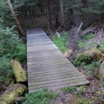Van Riper State Park Trail Bridge