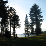 Van Riper State Park Trees Lawn Michigan