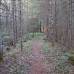 Van Riper State Park Wooded Hiking Trail