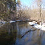 Deerfield Nature Park Chippewa River