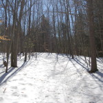 Deerfield Nature Park River Trail
