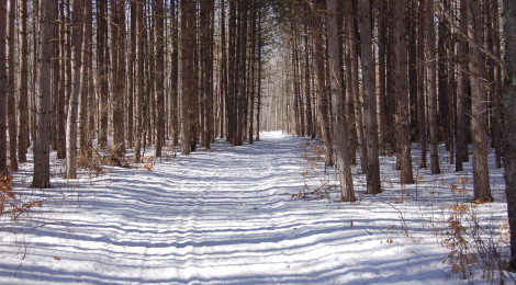 Photo Gallery Friday: Winter at Deerfield Nature Park in Mount Pleasant, Michigan