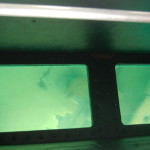 Munising Glass Bottom Shipwreck Tour