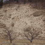 Rosy Mound Dunes Ottawa County