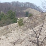 Rosy Mound Natural Area Holland MI