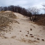 Muskegon Michigan State Park Dunes Trail