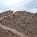 Muskegon State Park Dune Trail