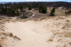 Muskegon State Park Dunes Lake View