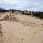 Muskegon State Park Sand Dunes