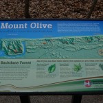 Olive Shores Mt. Olive