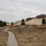 Rosy Mound Boardwalk Dunes