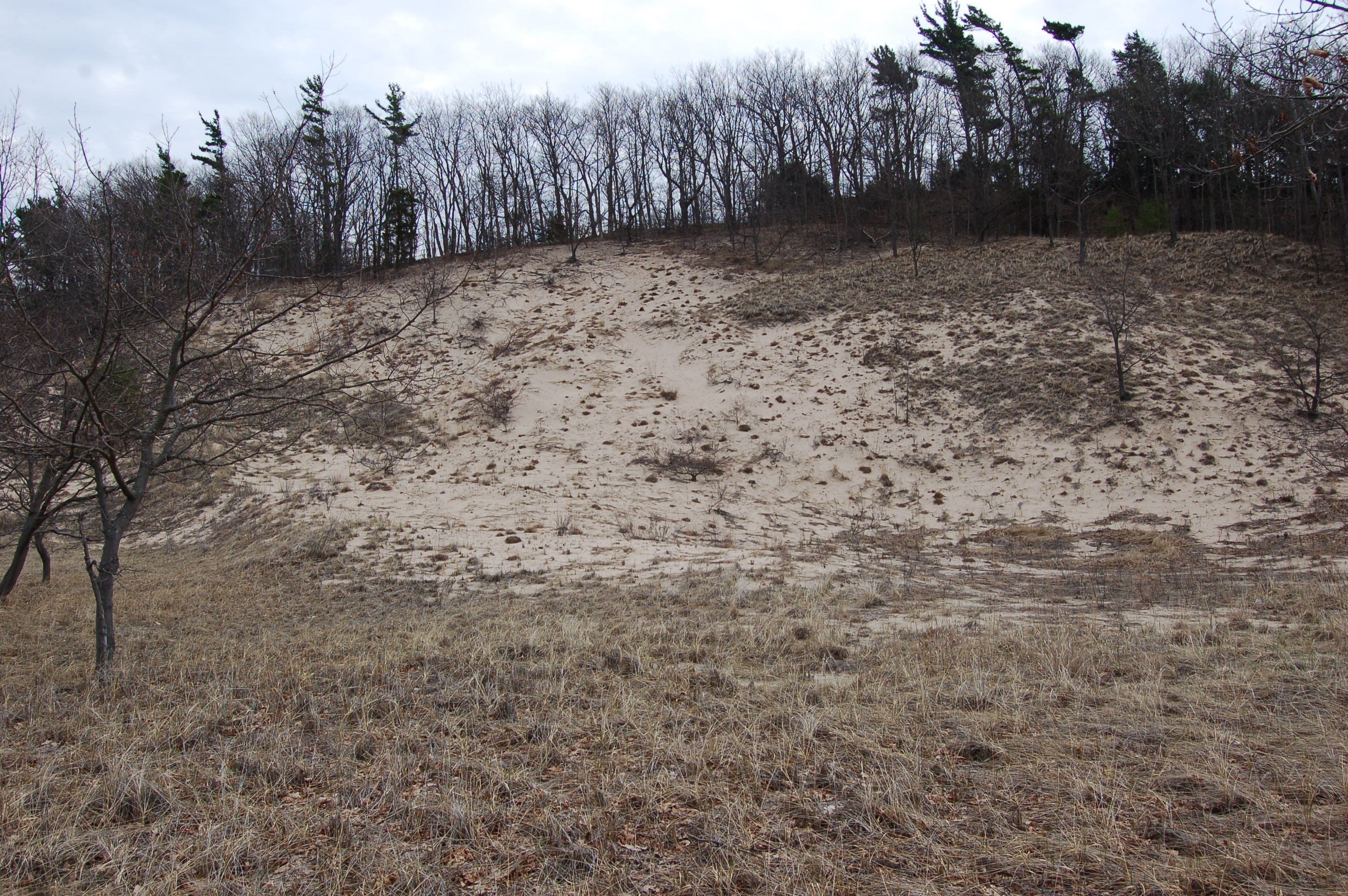 Rosy Mound Dune Blowout