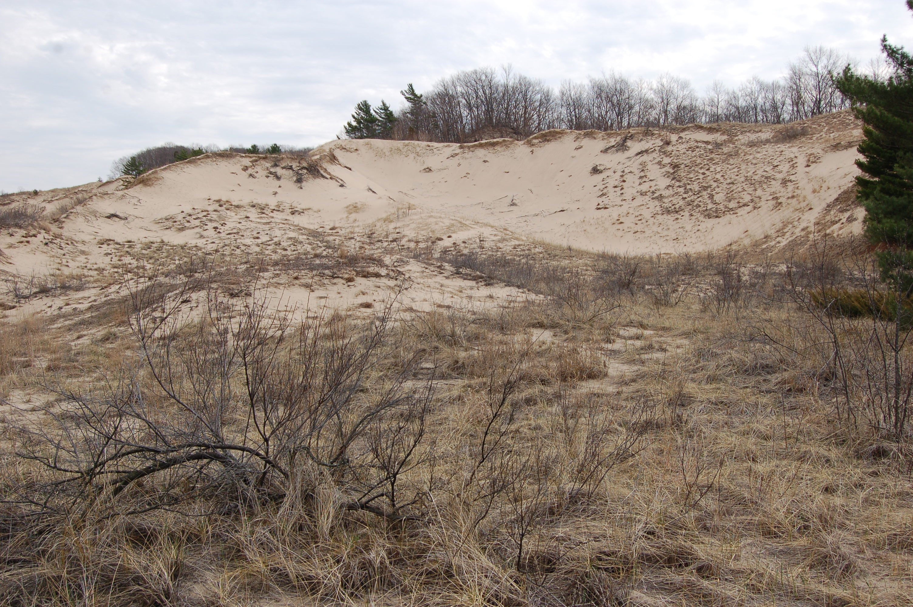 Rosy Mound Dunes 2