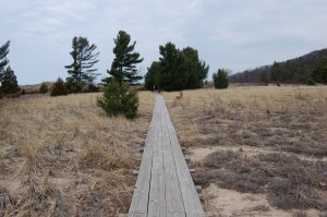 Rosy Mound Trail Header