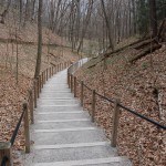 Rosy Mound Trail Staircase