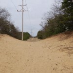 Van Buren Street Dunes Sand
