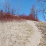 Warren Dunes State Pakr Sand Red Blue