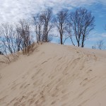 Warren Dunes State Park Sand Clouds Trees