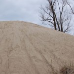 Warren Dunes State Park Sand Dune Tall