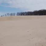Warren Dunes State Park Sand Sand Sand