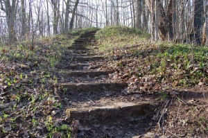North Country Trail Natural Stairs
