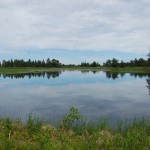 Seney National Wildlife Refuge Cloud Reflections